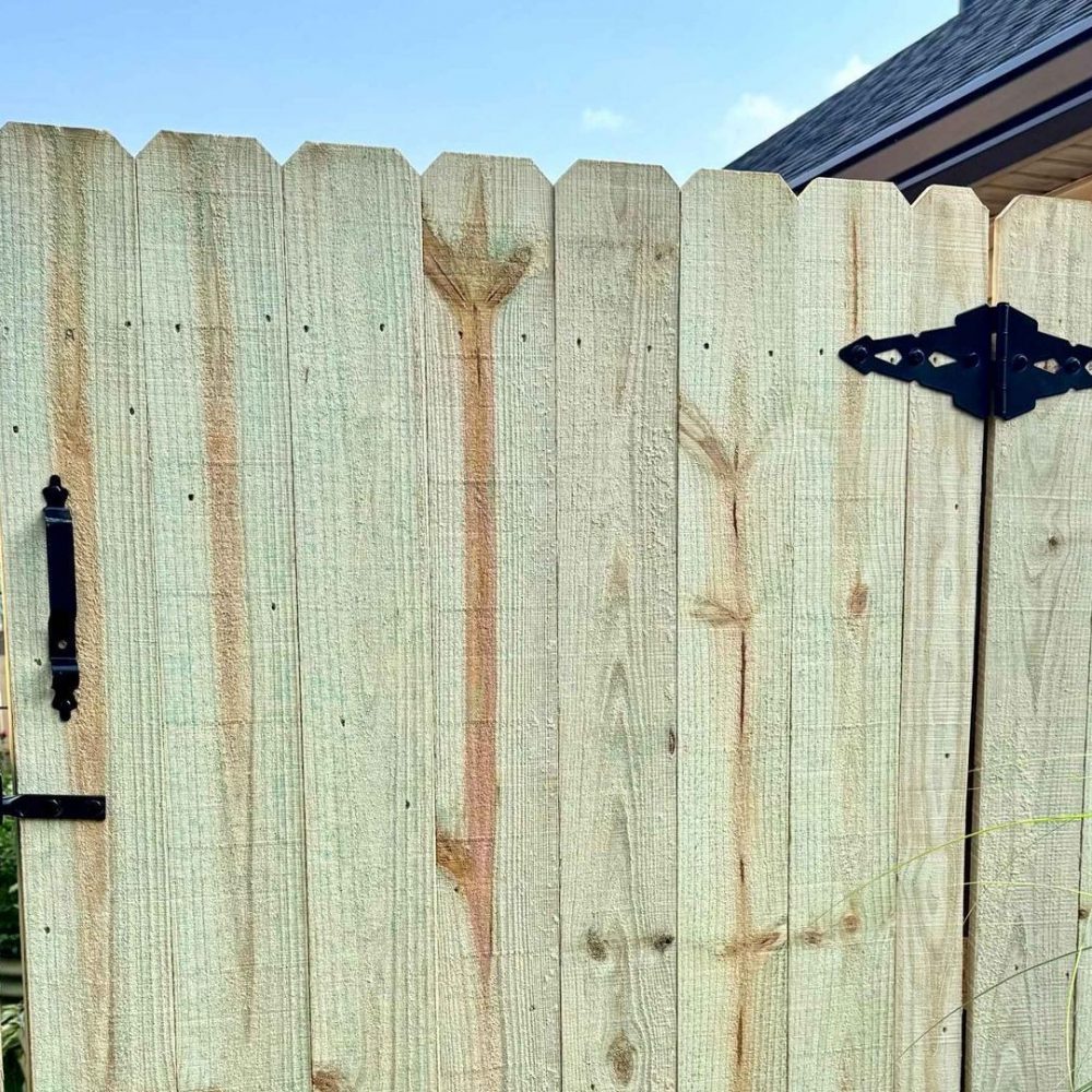 IMG_1088-28f9bbc4-1920w